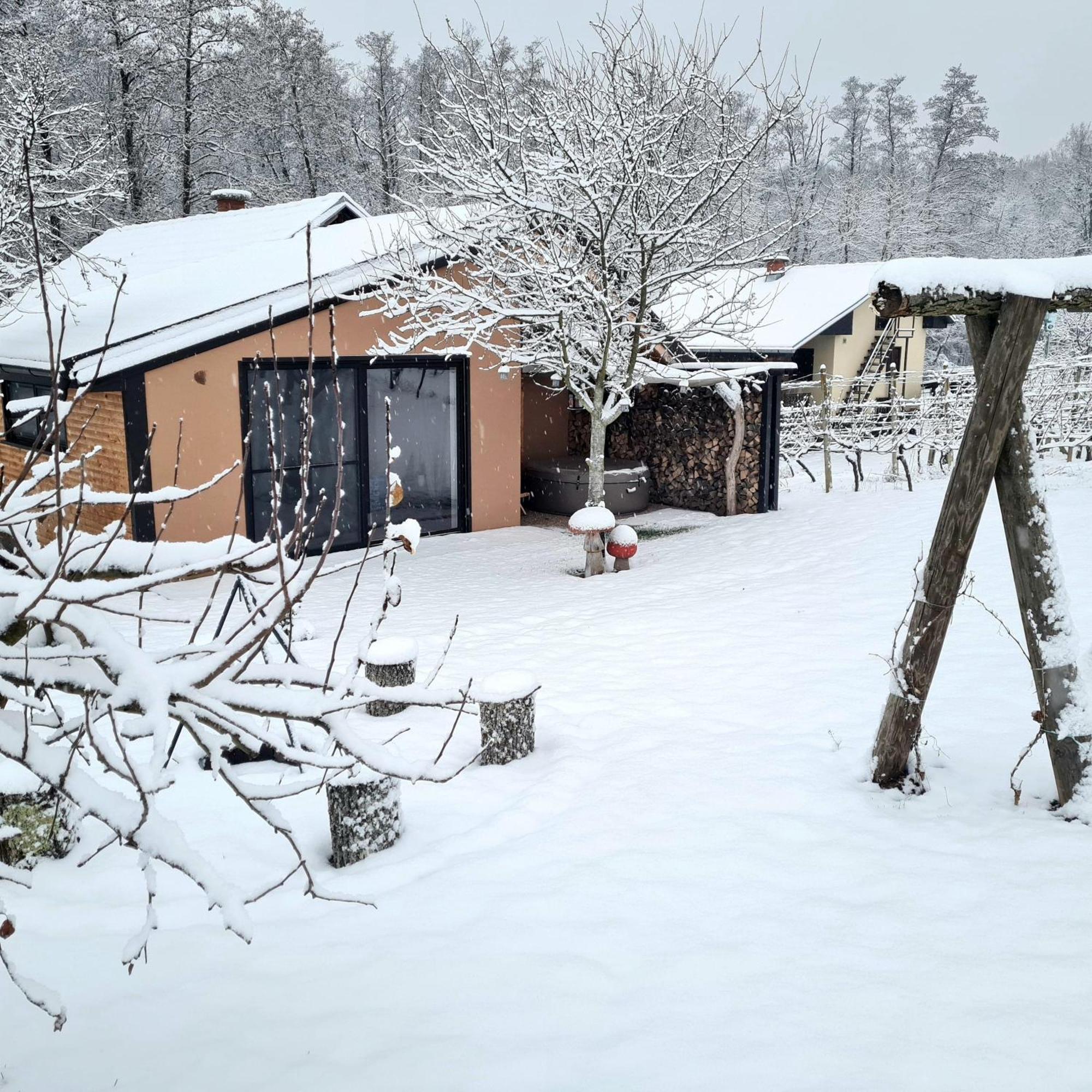 Villa Gozdarjeva Hiska M&K Dobrovnik Exterior foto